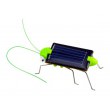 SOLAR VIBRATING LOCUST