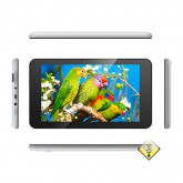 Android delivery Tablet Tactile